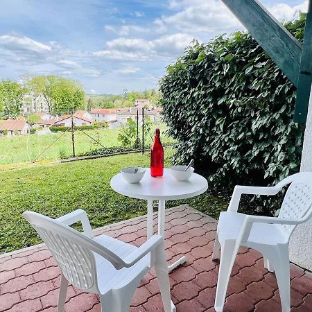 Studio Eglantine A Cambo-Les-Bains, Proche Thermes, Terrasse, Parking, Acces Internet, Animaux Ok - Fr-1-495-106 Exteriör bild